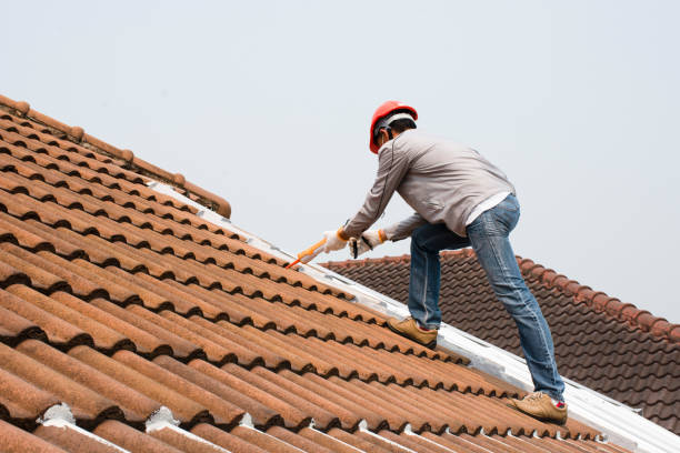 Best Chimney Flashing Repair  in Perry, FL